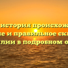 Канов: история происхождения, значение и правильное склонение фамилии в подробном обзоре