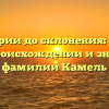 От истории до склонения: узнайте все о происхождении и значении фамилии Камель