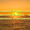 От родословной к происхождению: всё о фамилии Сарбаш — история, значение и склонение
