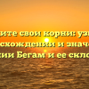 Отследите свои корни: узнайте о происхождении и значении фамилии Бегам и ее склонении