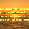 Происхождение, история и значение фамилии Борчик: узнайте все о склонении этой интересной фамилии.