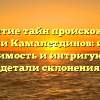 Раскрытие тайн происхождения фамилии Камалетдинов: история, значимость и интригующие детали склонения