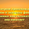 Рассмотрим происхождение, историю и значение фамилии Одиноченко: как склонять и что она означает