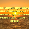 Фамилия Айрон: происхождение, история и значение, а также склонение в единственном и множественном числе – полный обзор