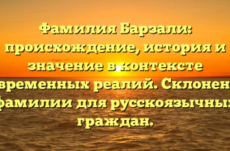 Фамилия Барзали: происхождение, история и значение в контексте современных реалий. Склонение фамилии для русскоязычных граждан.