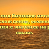 Фамилия Бичиков: история и происхождение, особенности склонения и значение на русском языке.