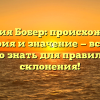 Фамилия Бобер: происхождение, история и значение — все, что нужно знать для правильного склонения!