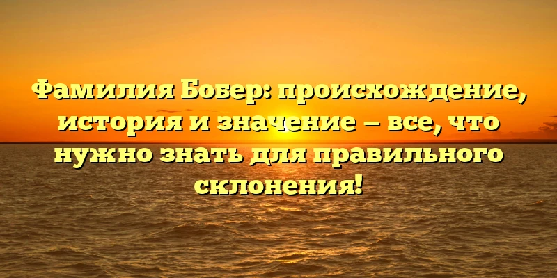 Фамилия Бобер: происхождение, история и значение — все, что нужно знать для правильного склонения! Фамилия Бобер: происхождение, история и значение — все, что нужно знать для правильного склонения!