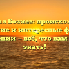 Фамилия Бозиев: происхождение, значение и интересные факты о склонении — всё, что вам нужно знать!