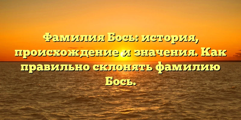 Фамилия Бось: история, происхождение и значения. Как правильно склонять фамилию Бось.