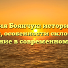 Фамилия Боянчук: исторический экскурс, особенности склонения и значение в современном мире
