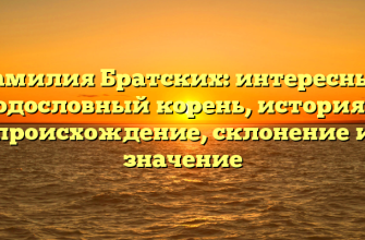 Фамилия Братских: интересный родословный корень, история и происхождение, склонение и значение
