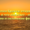 Фамилия Брикса: откуда она взялась и что означает – история, значение и склонение фамилии