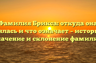 Фамилия Брикса: откуда она взялась и что означает – история, значение и склонение фамилии Фамилия Брикса: откуда она взялась и что означает – история, значение и склонение фамилии
