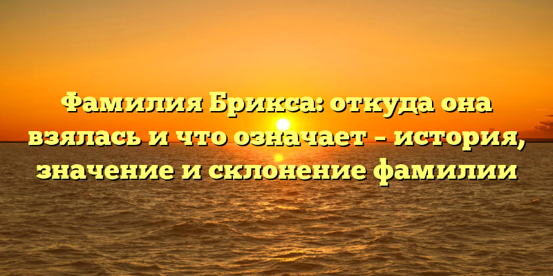Фамилия Брикса: откуда она взялась и что означает – история, значение и склонение фамилии