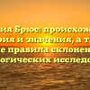 Фамилия Брюс: происхождение, история и значения, а также важные правила склонения для генеалогических исследований