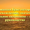 Фамилия Буас: история происхождения, значения и правильное склонение — полное руководство