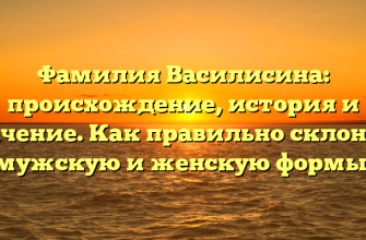 Фамилия Василисина: происхождение, история и значение. Как правильно склонять мужскую и женскую формы.