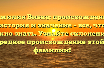 Фамилия Вибке: происхождение, история и значение – все, что нужно знать. Узнайте склонение и редкое происхождение этой фамилии!