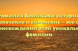 Фамилия Вобликова: история, значение и склонение — все о происхождении этой уникальной фамилии