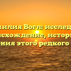 Фамилия Вогл: исследуем происхождение, историю и склонения этого редкого имени