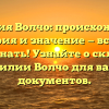 Фамилия Волчо: происхождение, история и значение — все, что нужно знать! Узнайте о склонении фамилии Волчо для ваших документов.