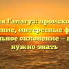 Фамилия Галагуз: происхождение и значение, интересные факты и правильное склонение — всё, что нужно знать