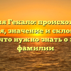 Фамилия Гекало: происхождение, история, значение и склонение — все, что нужно знать о этой фамилии