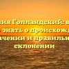 Фамилия Голландский: все, что нужно знать о происхождении, значении и правильном склонении