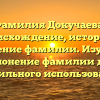 Фамилия Докучаева: происхождение, история и значение фамилии. Изучаем склонение фамилии для правильного использования.