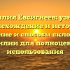 Фамилия Евсигнеев: узнайте происхождение и историю, значение и способы склонения фамилии для полноценного использования