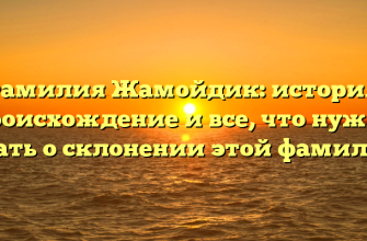 Фамилия Жамойдик: история, происхождение и все, что нужно знать о склонении этой фамилии