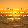 Фамилия Кадацкий: история возникновения, генеалогия и значения, склонение в различных падежах
