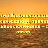 Фамилия Калиневич: история происхождения, значение и правильное склонение — полный обзор.