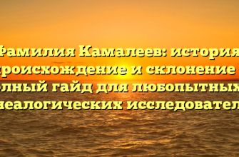 Фамилия Камалеев: история, происхождение и склонение — полный гайд для любопытных и генеалогических исследователей
