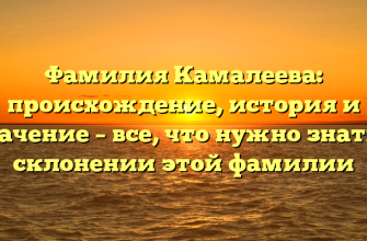 Фамилия Камалеева: происхождение, история и значение – все, что нужно знать о склонении этой фамилии