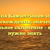 Фамилия Камалтынов: история происхождения, значение и правильное склонение – все, что нужно знать