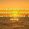 Фамилия Камараули: история происхождения, значение и особенности склонения – полный обзор