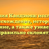 Фамилия Кандзюба: исследуем происхождение, историю и значение, а также узнаем как правильно склонять