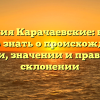 Фамилия Карачаевские: все, что нужно знать о происхождении, истории, значении и правильном склонении