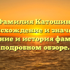 Фамилия Катошин: происхождение и значение. Склонение и история фамилии в подробном обзоре.