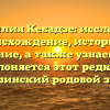 Фамилия Кебадзе: исследуем происхождение, историю и значение, а также узнаем, как склоняется этот редкий грузинский родовой знак