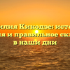 Фамилия Кикодзе: история, значения и правильное склонение в наши дни