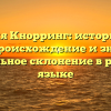 Фамилия Кнорринг: исторический обзор, происхождение и значения, правильное склонение в русском языке