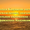 Фамилия Кодзасов: история происхождения, значение и правильное склонение – все о фамилии Кодзасов!