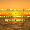 Фамилия Конык: история происхождения, значение и правила склонения — все, что нужно знать