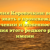 Фамилия Коробочкин: все, что нужно знать о происхождении, значении и особенностях склонения этого редкого русского имени