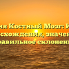 Фамилия Костный Мозг: История происхождения, значение и правильное склонение