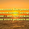 Фамилия Костромин: происхождение, история и склонение — все, что нужно знать о значении этого редкого наследия