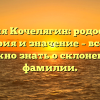 Фамилия Кочелягин: родословная, история и значение – все, что нужно знать о склонении фамилии.